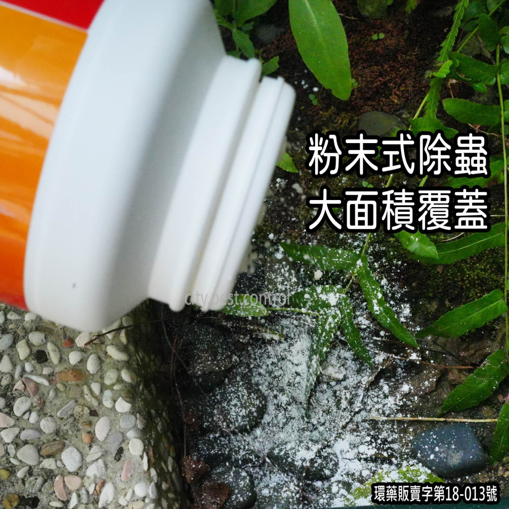 ❤️ 蟲必淨 ❤️ 粉劑 350g 防治 火蟻、蟑螂、螞蟻、跳蚤 (建議使用範圍 戶外、花圃、盆栽、倉庫)-細節圖3