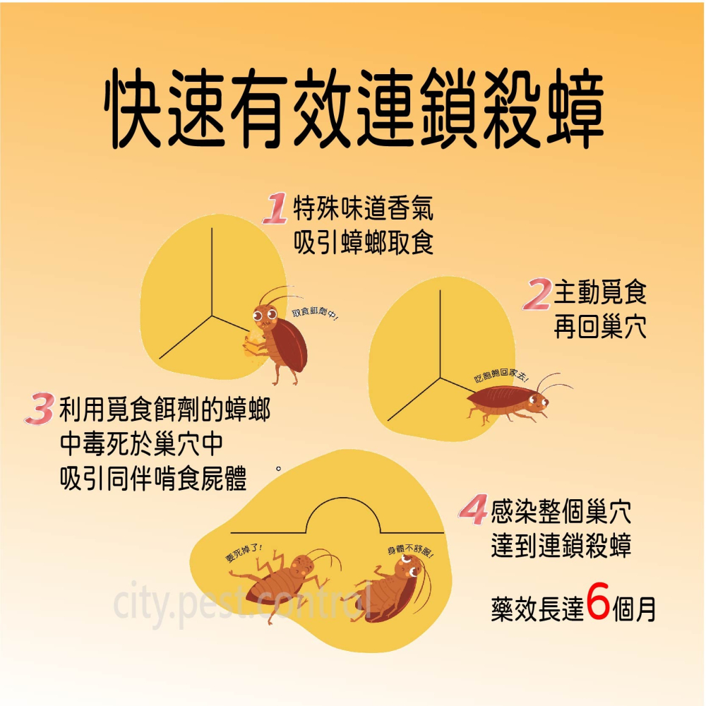 ❤️蟑螂餌劑 ❤️蟑嘸去 針劑式餌劑大容量 35g 殺蟑凝膠 輕鬆點 一點絕 驅蟑 滅蟑 殺蟑 除蟑螂-細節圖4