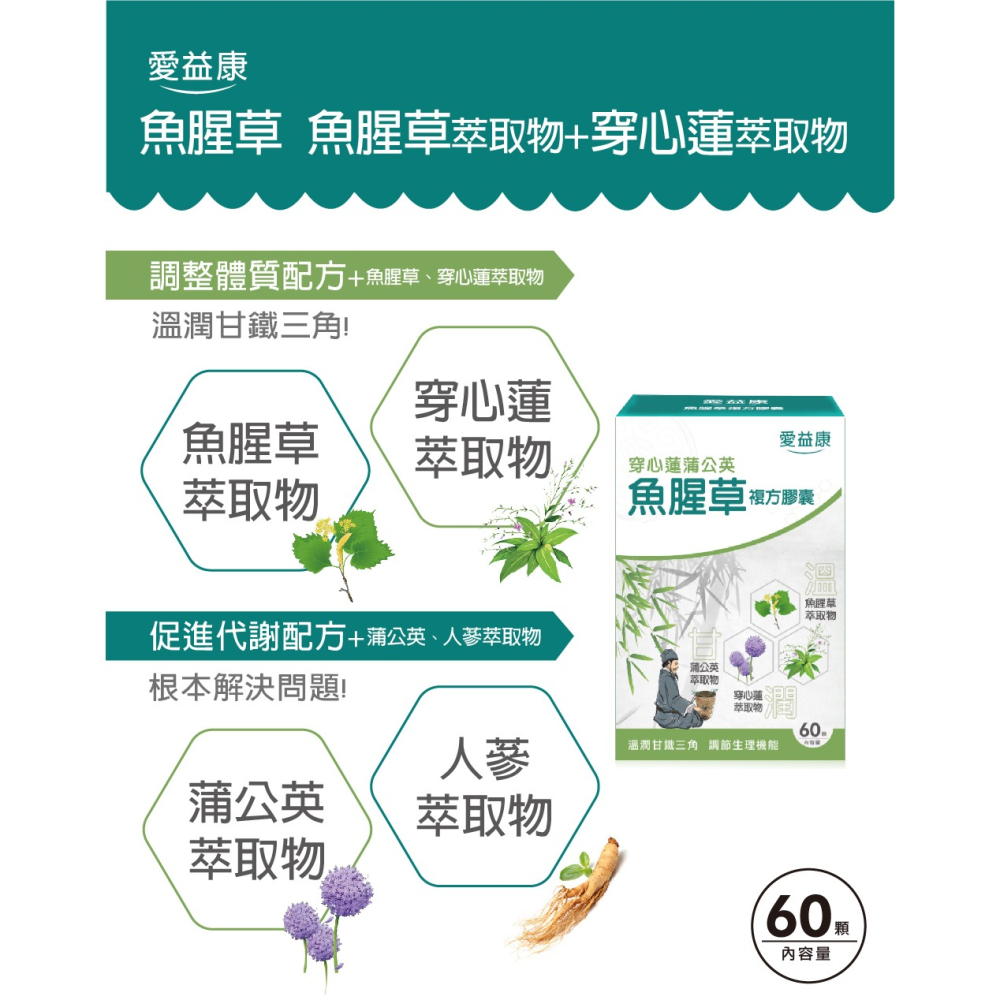 ♛藥妝通路熱銷♛【愛益康】魚腥草穿心蓮蒲公英複方膠囊 60粒/盒 【現貨供應】-細節圖2