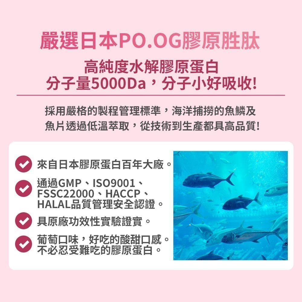 醇粹莓好-專利莓果膠原蛋白(15入/盒) 【桃園嚴選】-細節圖4