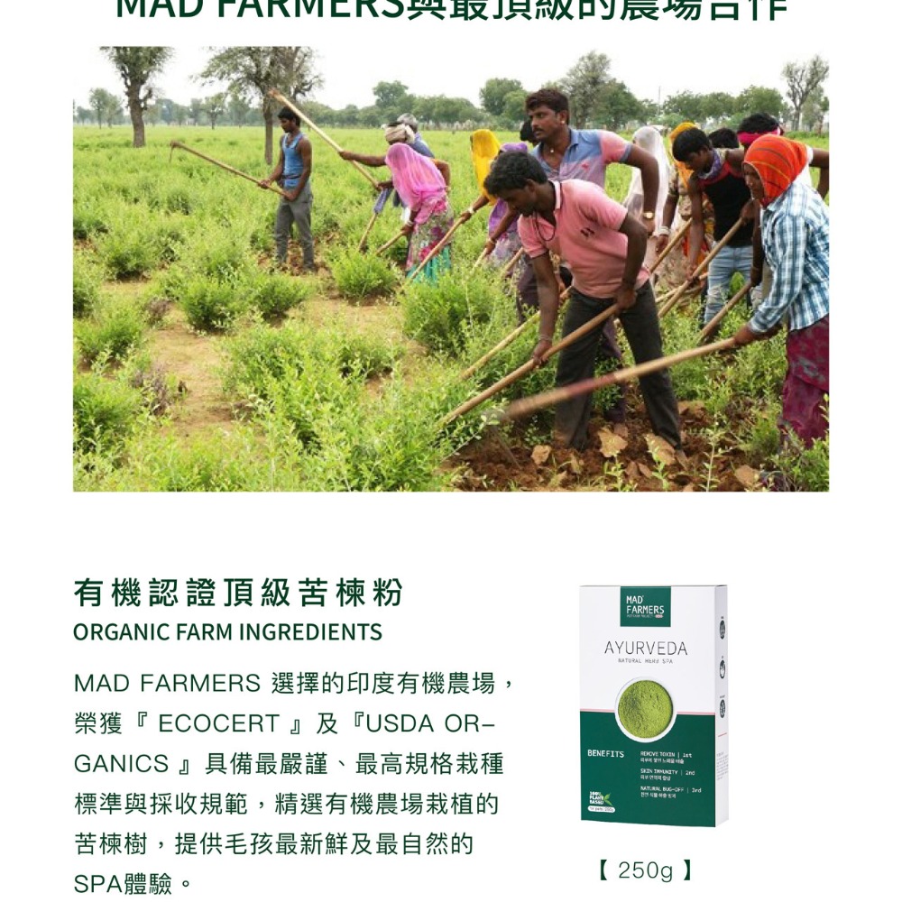 Mad Farmers 梅德農夫 阿育吠陀草本泥 250g 有機草本泥 草本泥-細節圖8