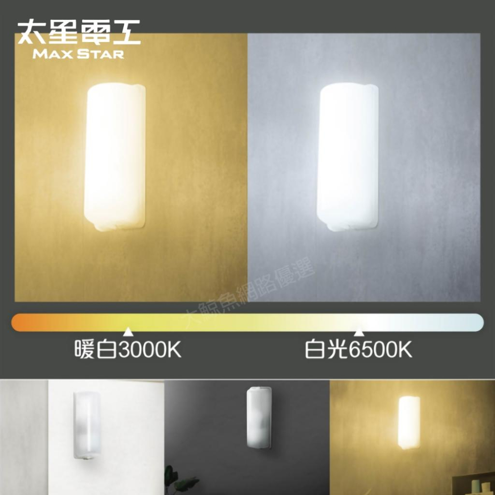【太星電工】簡約家用壁燈 附E27/13W 白光LED燈泡 台灣製造 通過檢驗-細節圖4