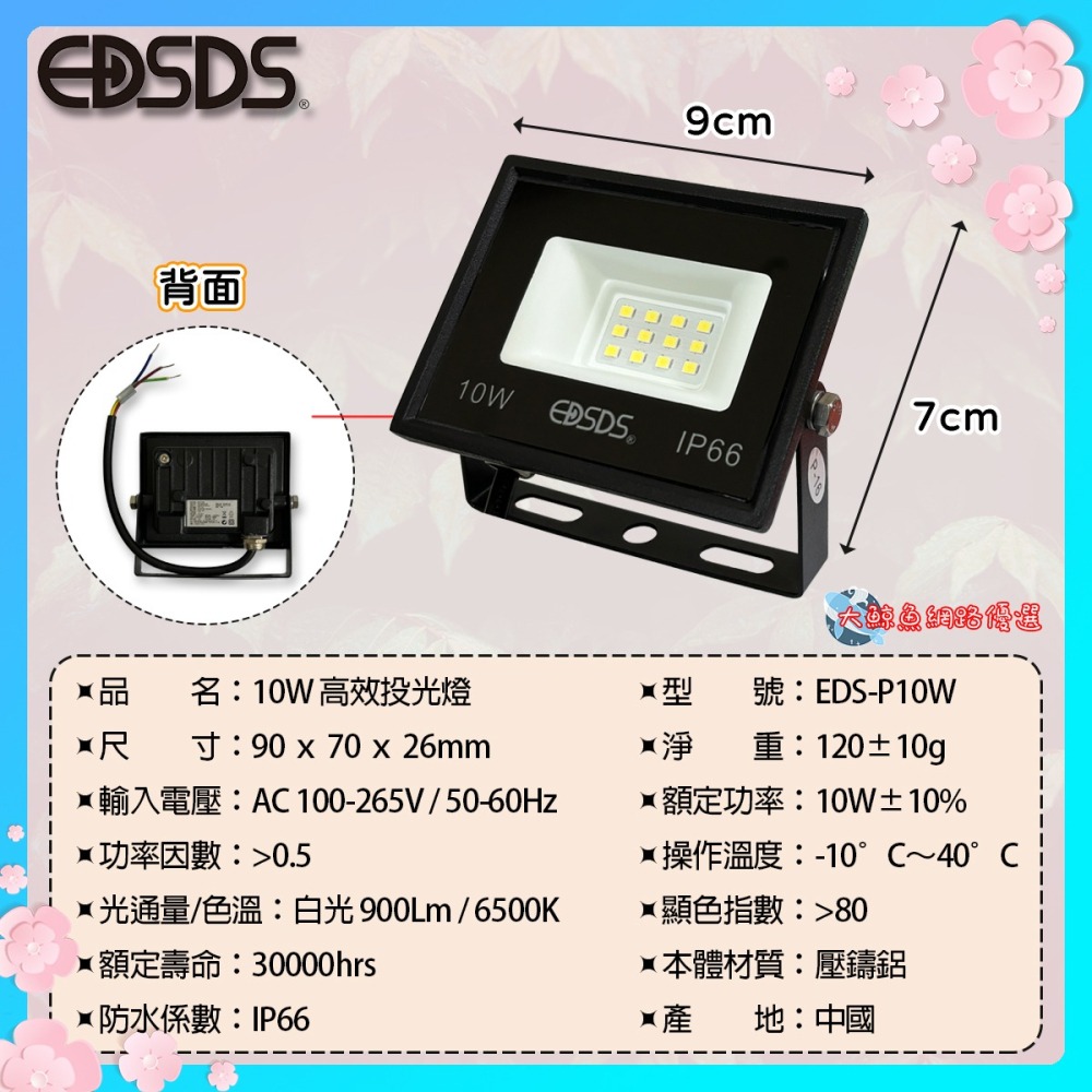 【EDSDS愛迪生】EDS-P10W 10W LED高效投光燈 白光 戶外用 全電壓-細節圖2