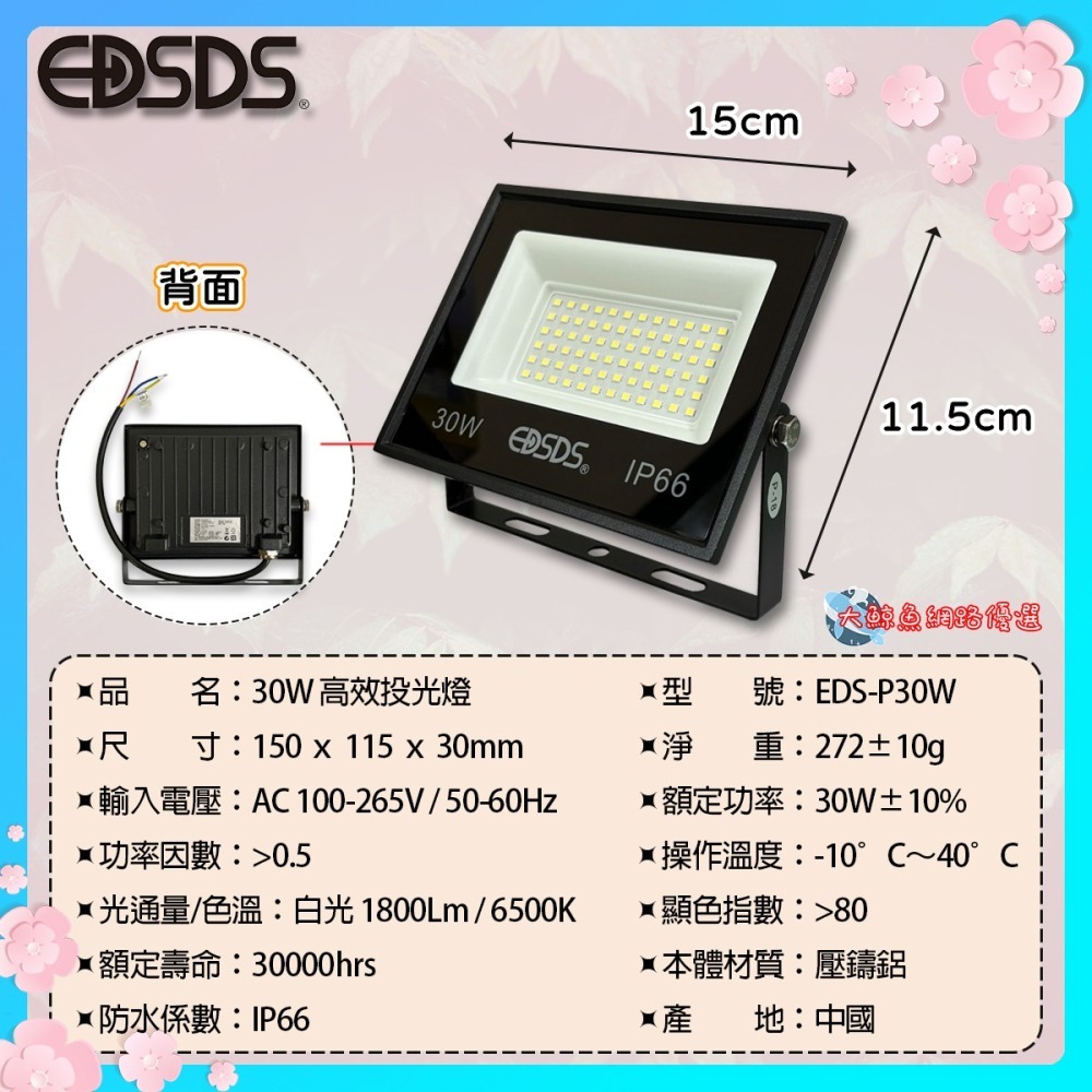 【EDSDS愛迪生】EDS-P30W 30W LED高效投光燈 白光 戶外用 全電壓-細節圖2