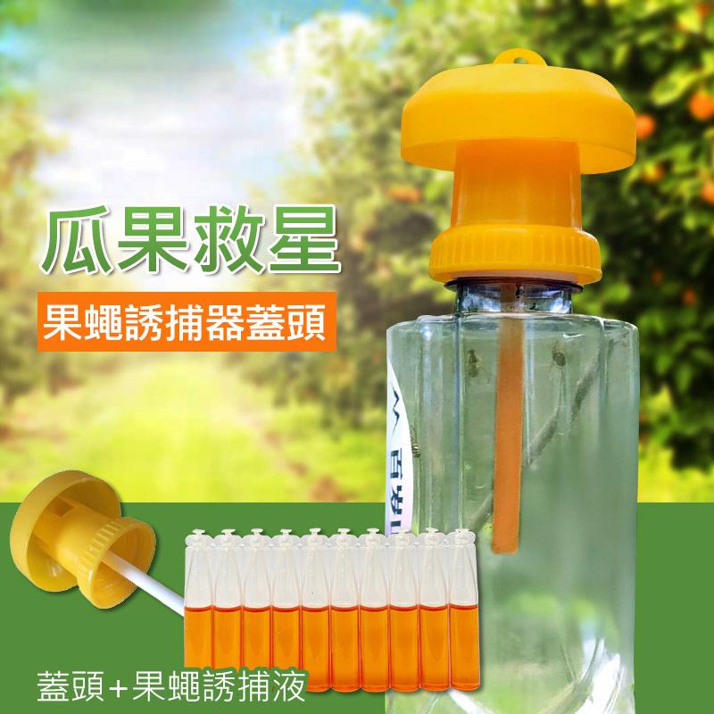 經濟型誘捕器蓋頭 果蠅誘捕器 蓋頭 抓果蠅 補果蠅神器 捕蠅器 抓蒼蠅 蒼蠅誘捕器-細節圖3