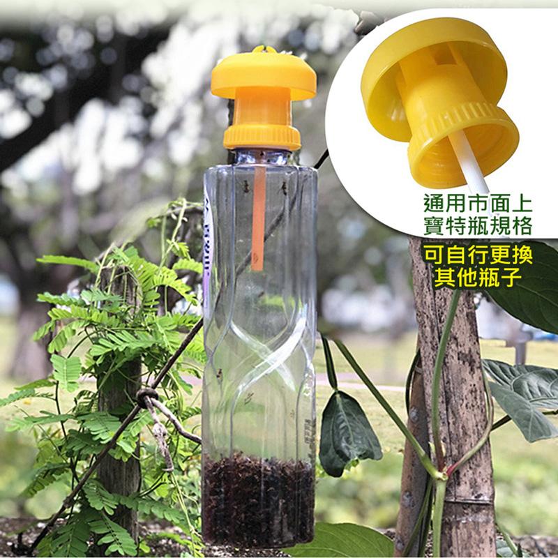 經濟型誘捕器蓋頭 果蠅誘捕器 蓋頭 抓果蠅 補果蠅神器 捕蠅器 抓蒼蠅 蒼蠅誘捕器-細節圖4