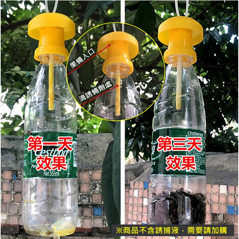 經濟型誘捕器蓋頭 果蠅誘捕器 蓋頭 抓果蠅 補果蠅神器 捕蠅器 抓蒼蠅 蒼蠅誘捕器-細節圖6