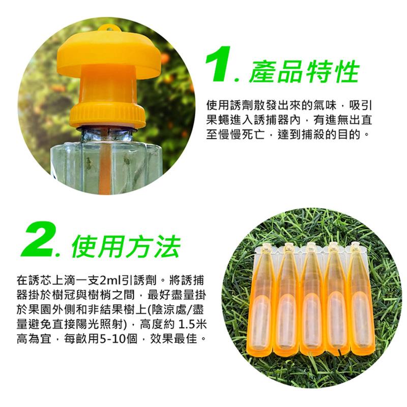 經濟型誘捕器蓋頭 果蠅誘捕器 蓋頭 抓果蠅 補果蠅神器 捕蠅器 抓蒼蠅 蒼蠅誘捕器-細節圖7