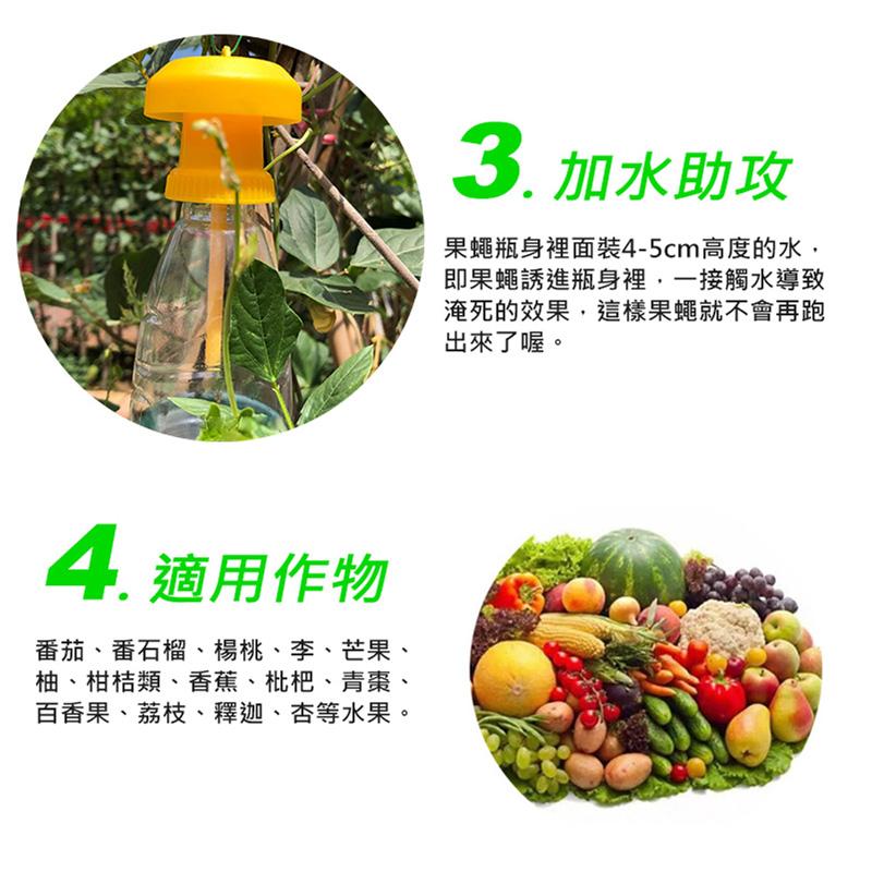 經濟型誘捕器蓋頭 果蠅誘捕器 蓋頭 抓果蠅 補果蠅神器 捕蠅器 抓蒼蠅 蒼蠅誘捕器-細節圖8