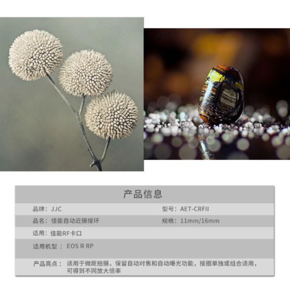 JJC 適用佳能RF卡口近攝接圈微距轉接環自動對焦調光圈EOS R R5 R6 自動曝光 自動對焦-細節圖3