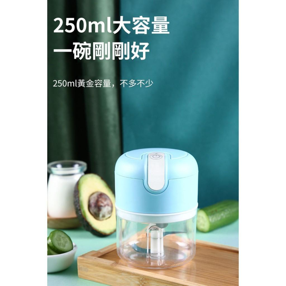 限時下殺 料理機 USB電動蒜泥機 250ml 攪蒜泥 切蒜機 碎肉機 蒜泥機 蒜末 切蔥 攪拌機 食物調理機-細節圖9