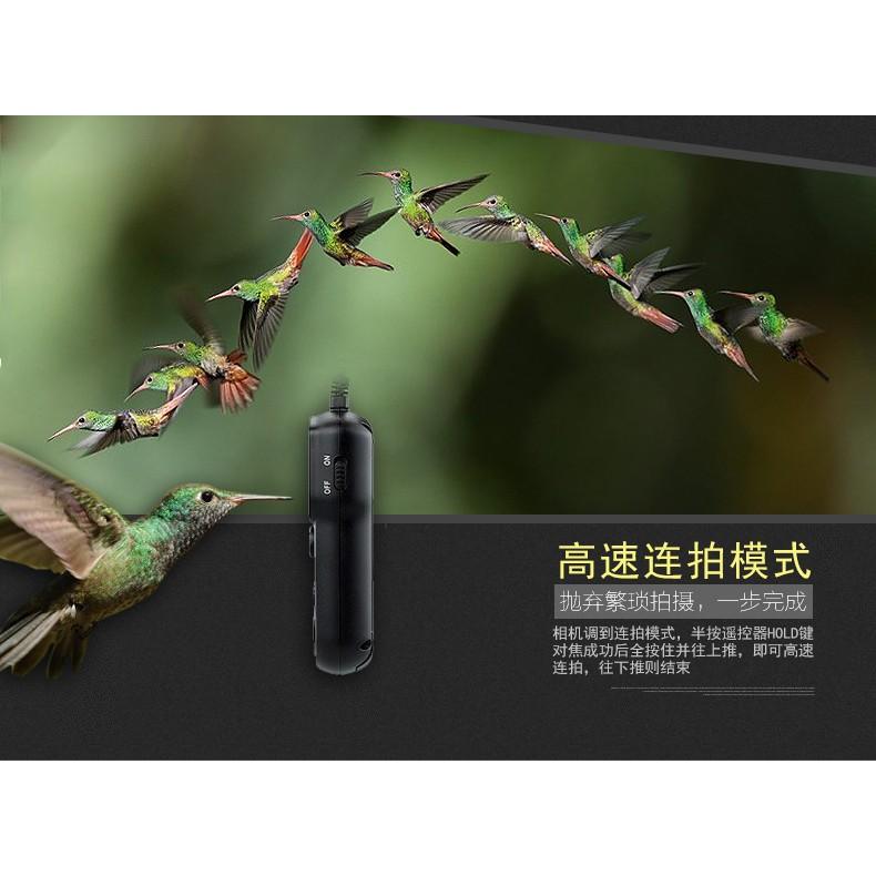 JJC佳能Canon RS-C1 RS-60E3 液晶電子快門線 可定時760D 750D 70D  G15  G12-細節圖6