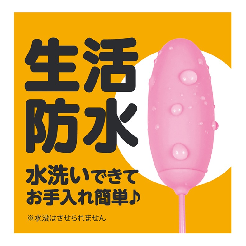 G PROJECT 9頻溫感有線跳蛋 仿膚防水跳蛋 Dr.情趣 台灣現貨 女用情趣用品 成人情趣精品 情趣玩具-細節圖3