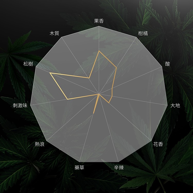 HARU ORGASM by Jack Herer大麻籽萃取 熱感水性潤滑液155ml Dr.情趣 原廠正貨 熱感潤滑油-細節圖3