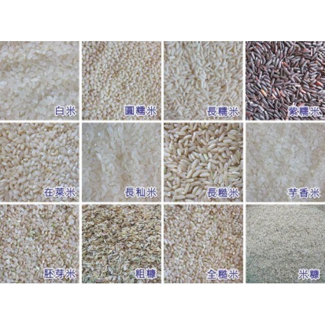 丰川米  蓬萊米 11號 16號 白米 黑米 紅米 紫米 長米 芋香米 胚芽米 糙米 糯米 9號米 越光米 十穀米-細節圖3