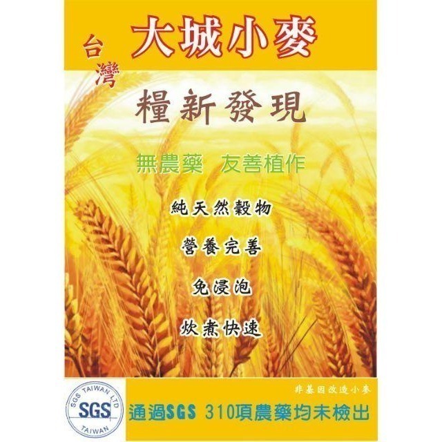 🌾 云川生機 台灣 小麥 天然 有機 無毒 紅小麥 1公斤 真空包裝-細節圖6