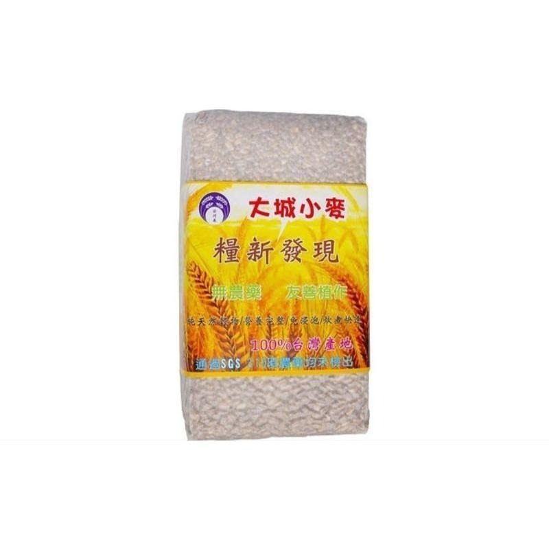 🌾 云川生機 台灣 小麥 天然 有機 無毒 紅小麥 1公斤 真空包裝-細節圖5