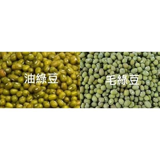 云川生機 綠豆 600克 油綠豆 毛綠豆 粉綠豆 超綿密 煮的爛-細節圖2