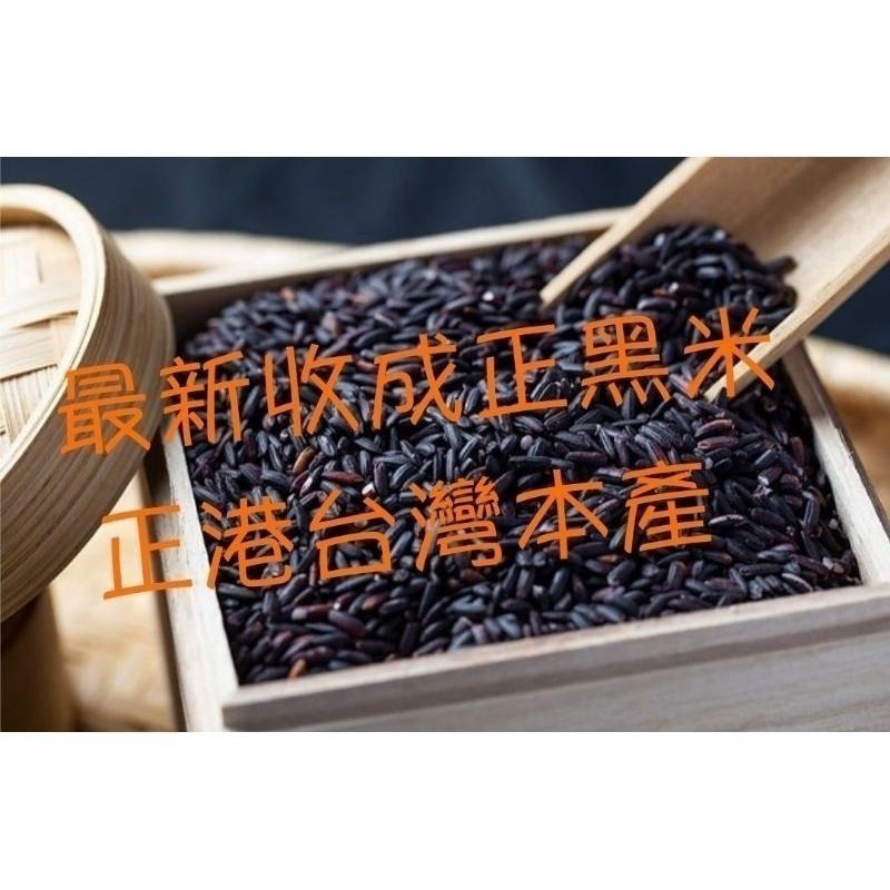 🌾 云川生機 云川米 黑米 黑糙米 新米 免浸泡 ( 黑糙米 紫黑米 純黑米 黑秈糙米 黑糯糙米 黑糯米 紫糯米 )-細節圖2