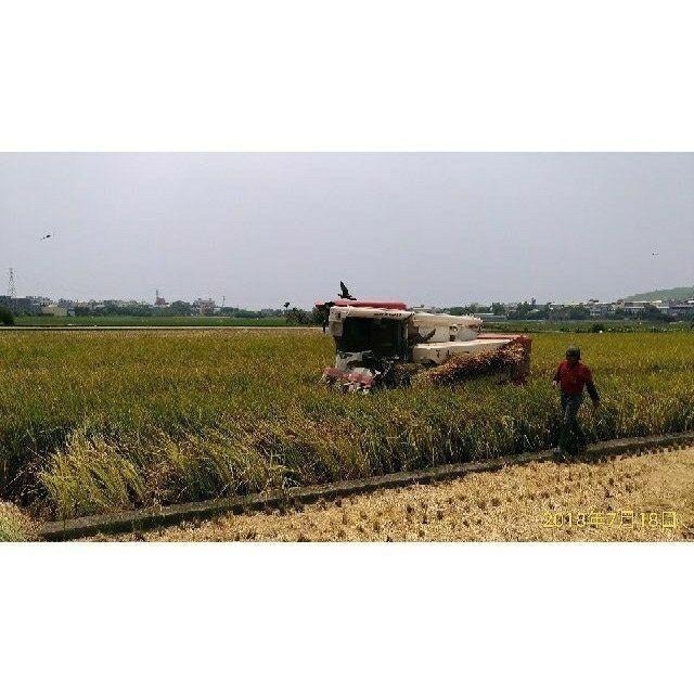 🌾 云川生機 云川米 黑米 黑糙米 新米 免浸泡 ( 黑糙米 紫黑米 純黑米 黑秈糙米 黑糯糙米 黑糯米 紫糯米 )-細節圖8