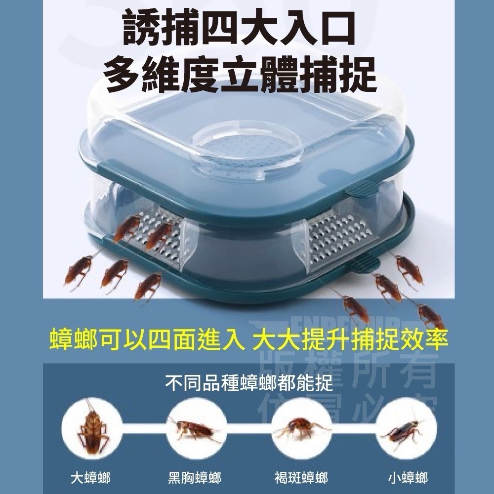 現貨 ^ 雙層蟑螂誘捕器^-細節圖7