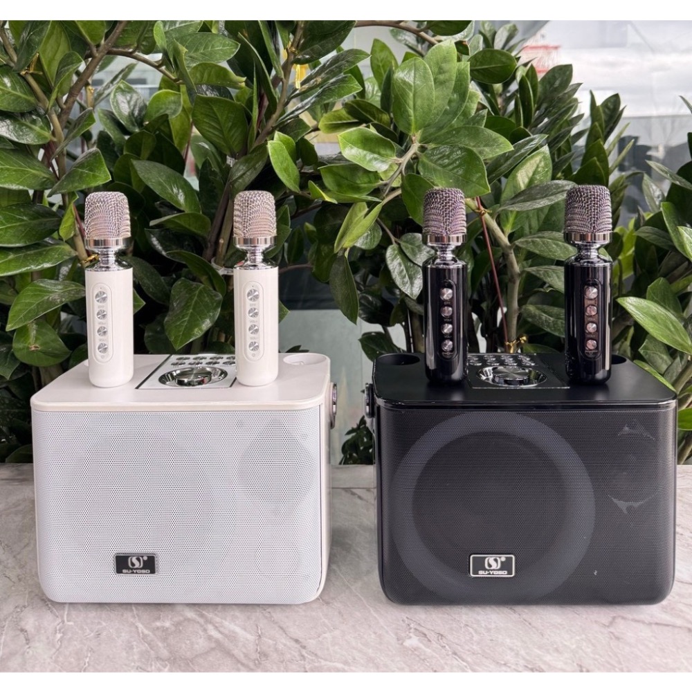 現貨 ^專業K歌藍牙音響^-細節圖2