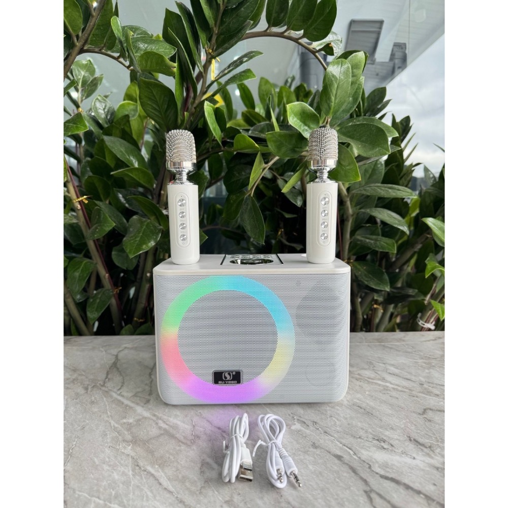 現貨 ^專業K歌藍牙音響^-細節圖3