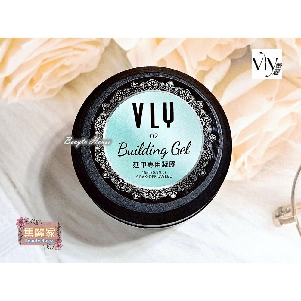 【集麗家】VLY [罐裝功能膠] 延甲專用凝膠 造型膠 黏鑽膠 延甲建構 立體造型 凝膠指甲 美甲膠 建構膠-細節圖5