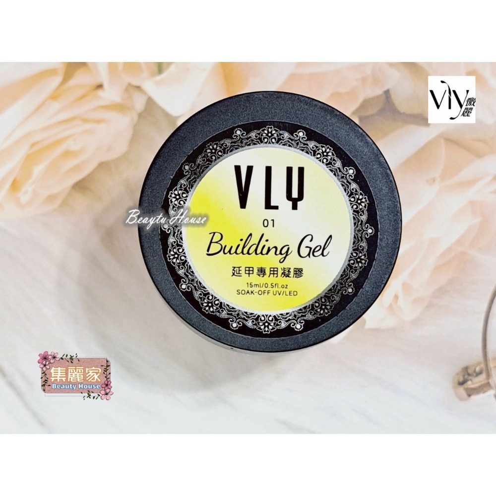 【集麗家】VLY [罐裝功能膠] 延甲專用凝膠 造型膠 黏鑽膠 延甲建構 立體造型 凝膠指甲 美甲膠 建構膠-規格圖10