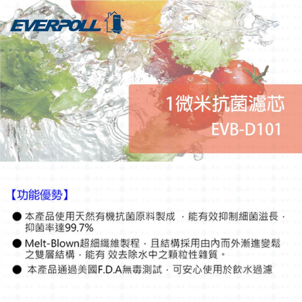 【EVERPOLL】EVB-D101溝槽式抗菌濾芯  D101  101 10吋 1微米抗菌濾心 濾芯-細節圖2