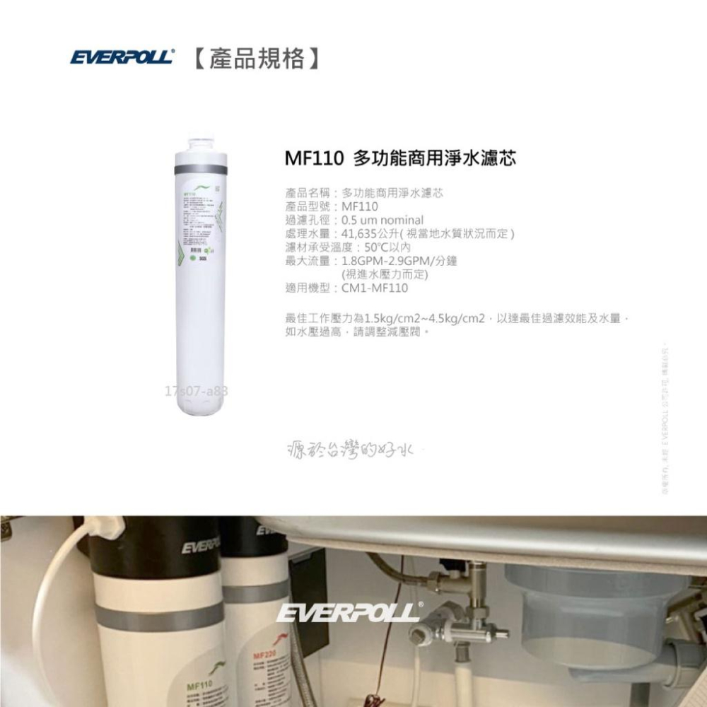 【EVERPOLL】MF110 多功能商用淨水濾芯 大山淨水-細節圖7