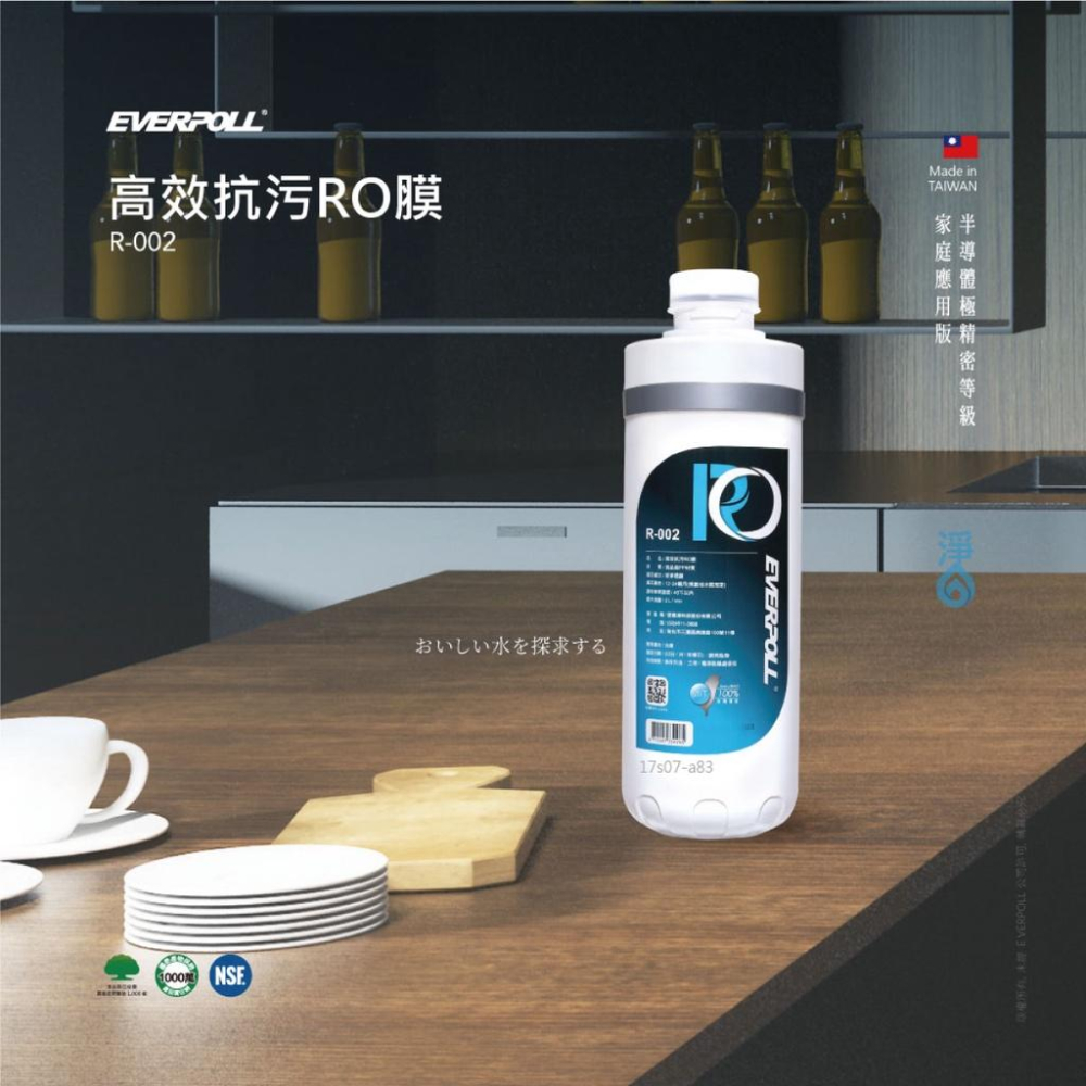 【EVERPOLL】R-002 R002 高效抗污RO膜濾芯 大山淨水-細節圖2