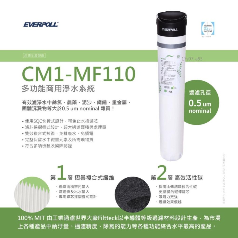 【EVERPOLL】CM1-MF110 CM1MF110 多功能商用淨水系統 大山淨水-細節圖4