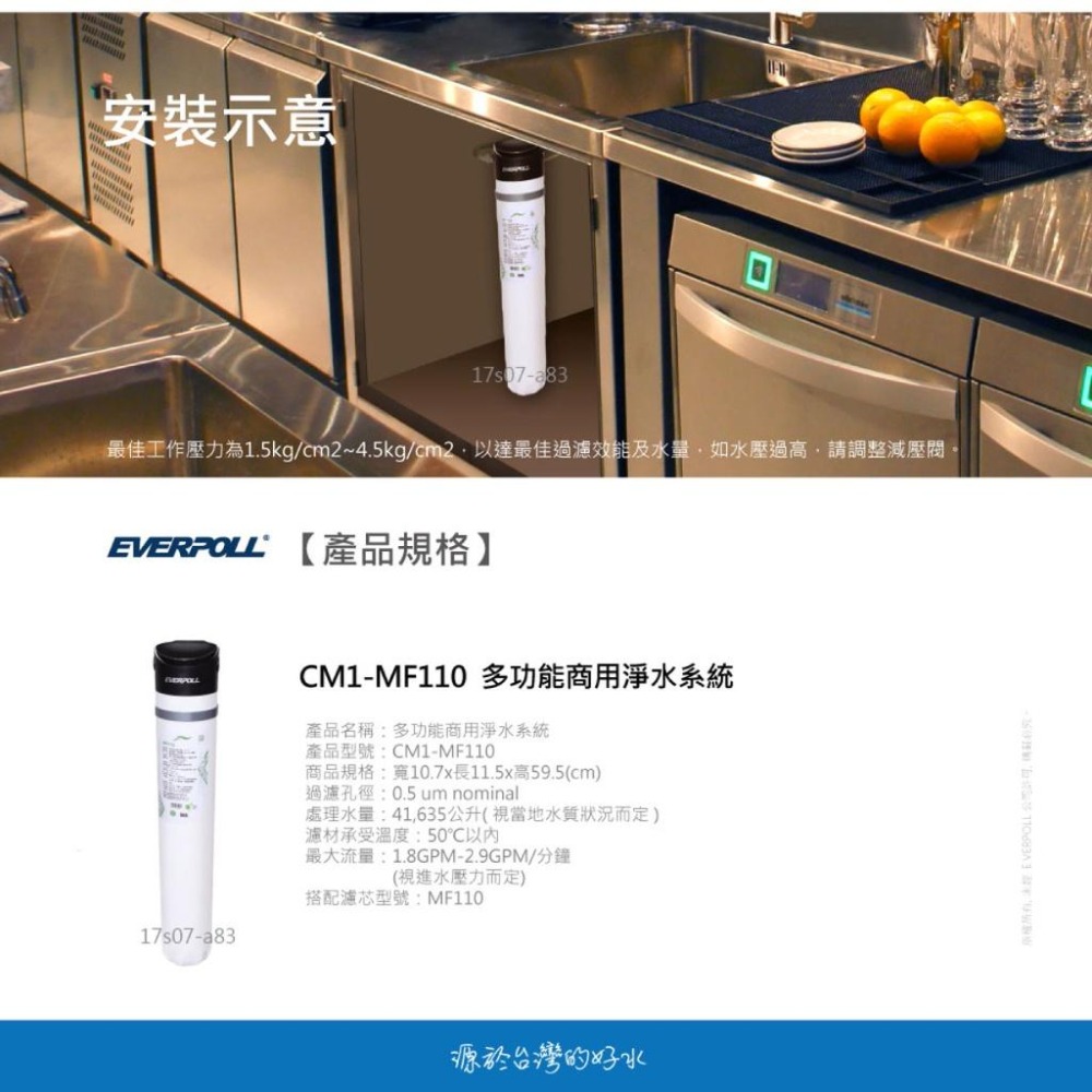 【EVERPOLL】CM1-MF110 CM1MF110 多功能商用淨水系統 大山淨水-細節圖7