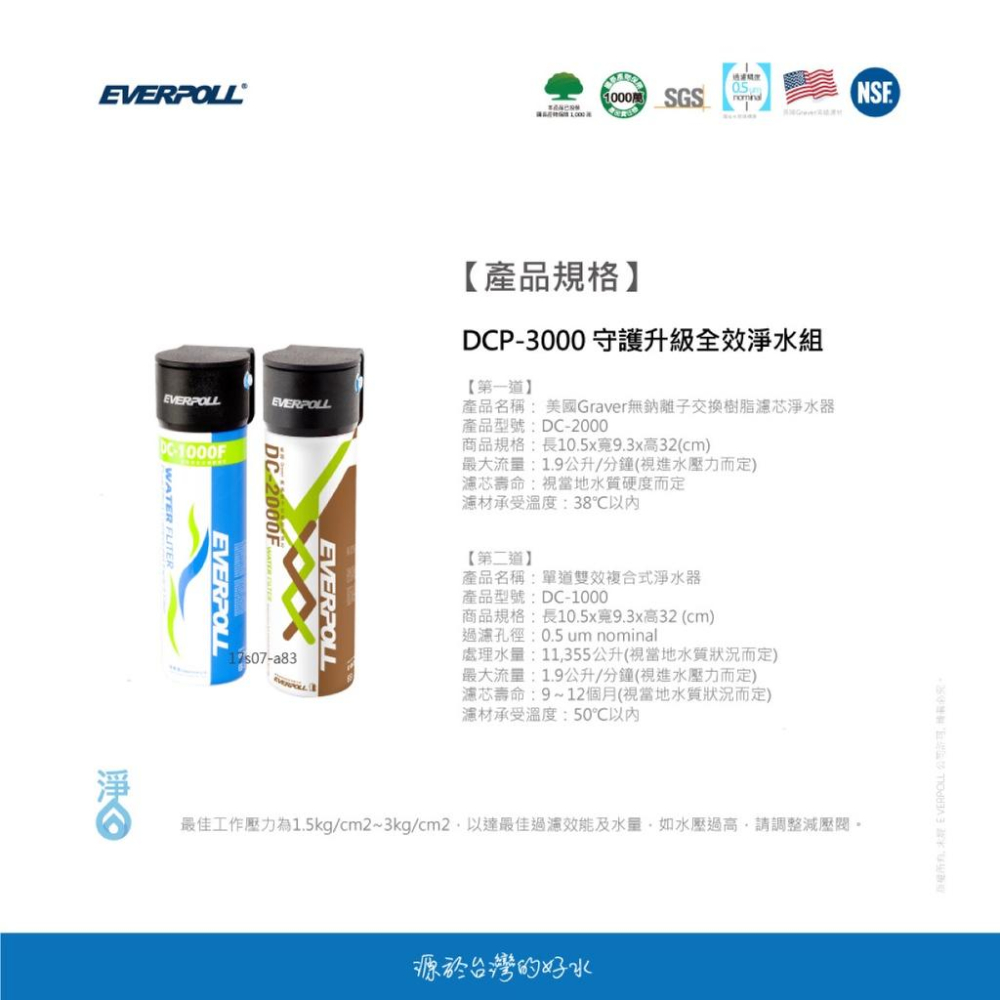 【EVERPOLL】DCP-3000 DCP3000 全面淨化 加強除垢守護升級全效淨水組  大山淨水-細節圖9