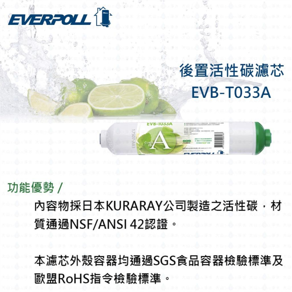 【EVERPOLL】EVB-T033A 小T33 T33 t33 後置 活性碳 濾芯 濾心 標準型 大山淨水-細節圖2