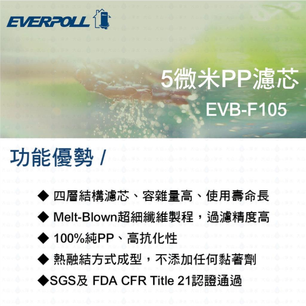 【EVERPOLL】EVB-C100A C100A 10吋 CTO 活性碳 濾芯 濾心 標準 25入 大山淨水-細節圖2