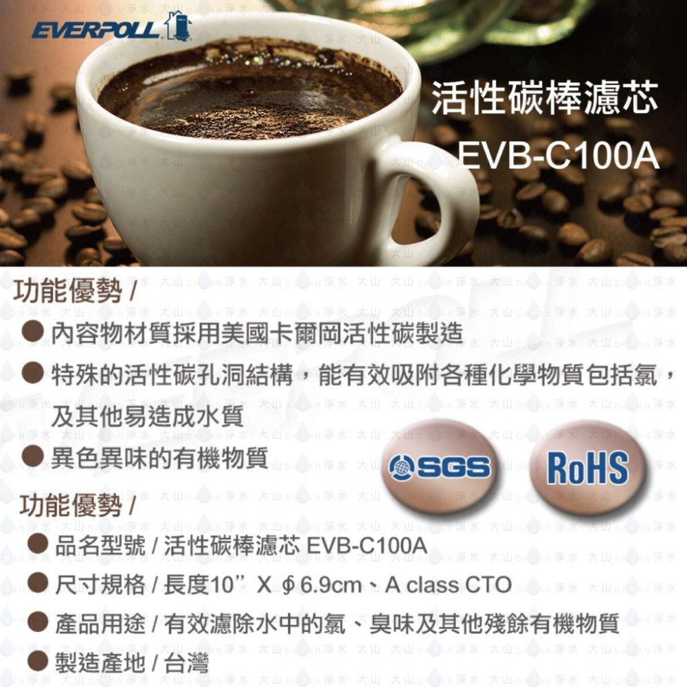 【EVERPOLL】EVB-C100A C100A 10吋 CTO 活性碳 濾芯 濾心 EVERPOLL 標準型-細節圖2