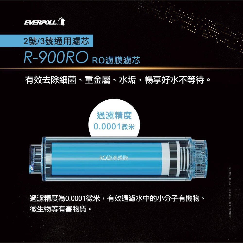 【愛科 EVERPOLL】R-900RO RO濾膜濾芯(2入組) 900 RO膜 濾心 900RO RO 逆滲透膜-細節圖3