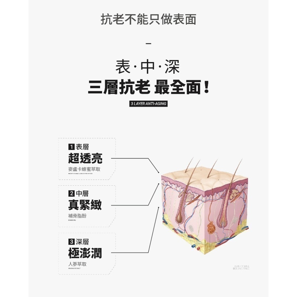 人蔘逆齡彈潤面膜｜專利三層抗老技術 澎潤提亮-細節圖4
