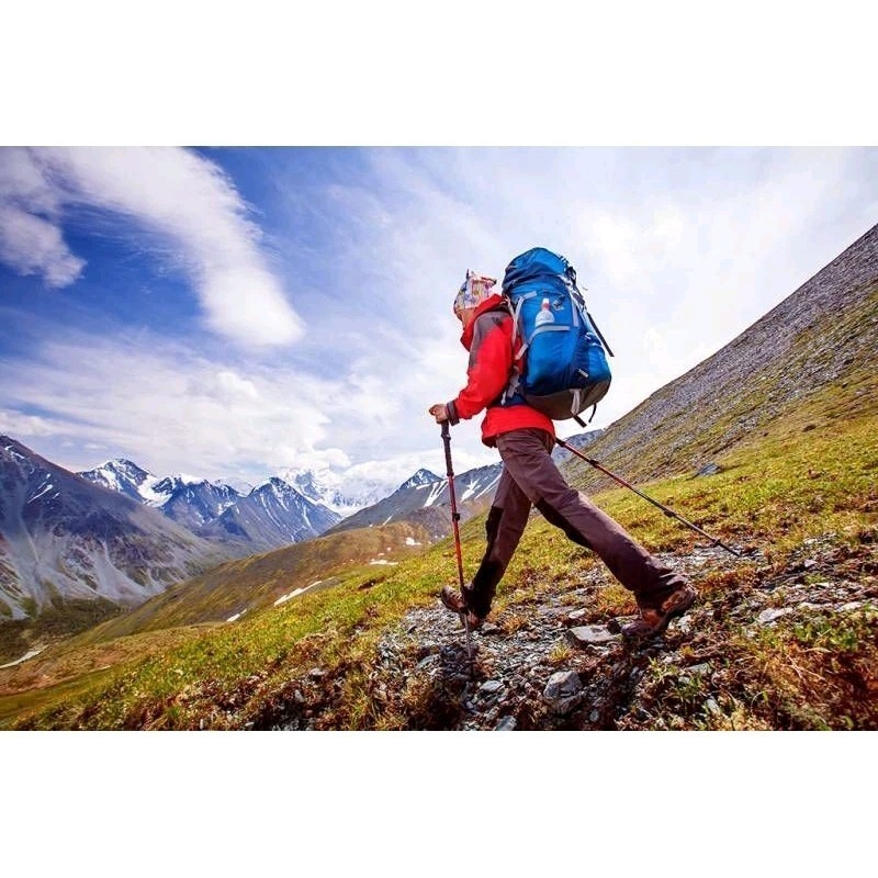 原廠愛康製藥 UCII水解二型膠原蛋白粉 德國專利GELITA 專利原料鳳梨酵素 專利水解膠原蛋白 蜈蚣油-細節圖2