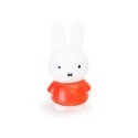 Miffy 米菲兔經典款公仔存錢筒-中號 多色任選-規格圖7