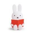Miffy 米菲兔閱讀公仔存錢筒-中號 多色任選-規格圖9