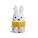 Miffy 米菲兔閱讀公仔存錢筒-中號 多色任選-規格圖9