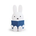 Miffy 米菲兔閱讀公仔存錢筒-中號 多色任選-規格圖9