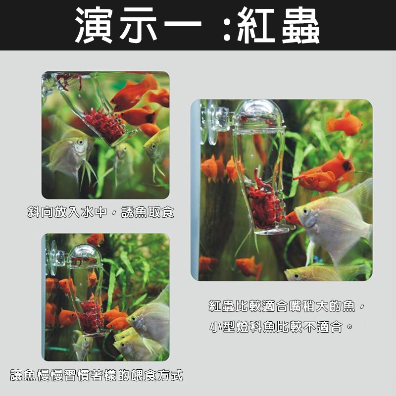 24H出貨🌟【Hook水族】褲型餵食器 水族壓克力魚缸餵食器 餵魚器 餵食杯 餵魚神器 紅蟲杯 水族用品 魚缸用品 魚-細節圖3