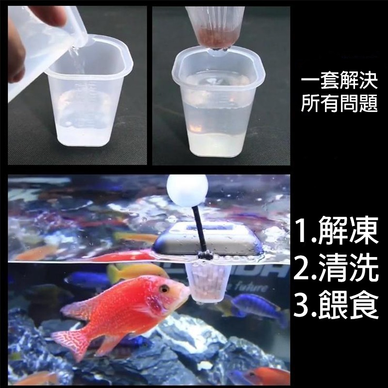 24H出貨🌟【Hook水族】懸浮式 紅蟲餵食組 懸浮式飼料餵食圈紅蟲餵食圈紅蟲餵食杯飼料餵食器懸浮式餵食器豐年蝦餵食-細節圖4