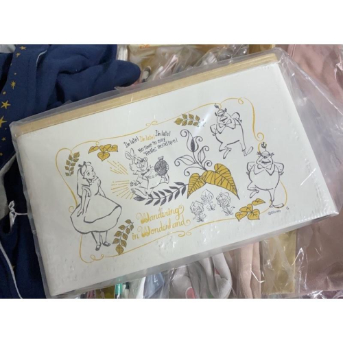 泡菜拉麵代購（3折優惠）日本bellemaison 迪士尼-愛麗絲磨砂鐵製置物盒