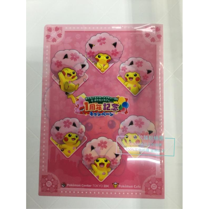 ［泡菜拉麵］櫻花皮卡丘資料夾 2019 寶可夢-細節圖2