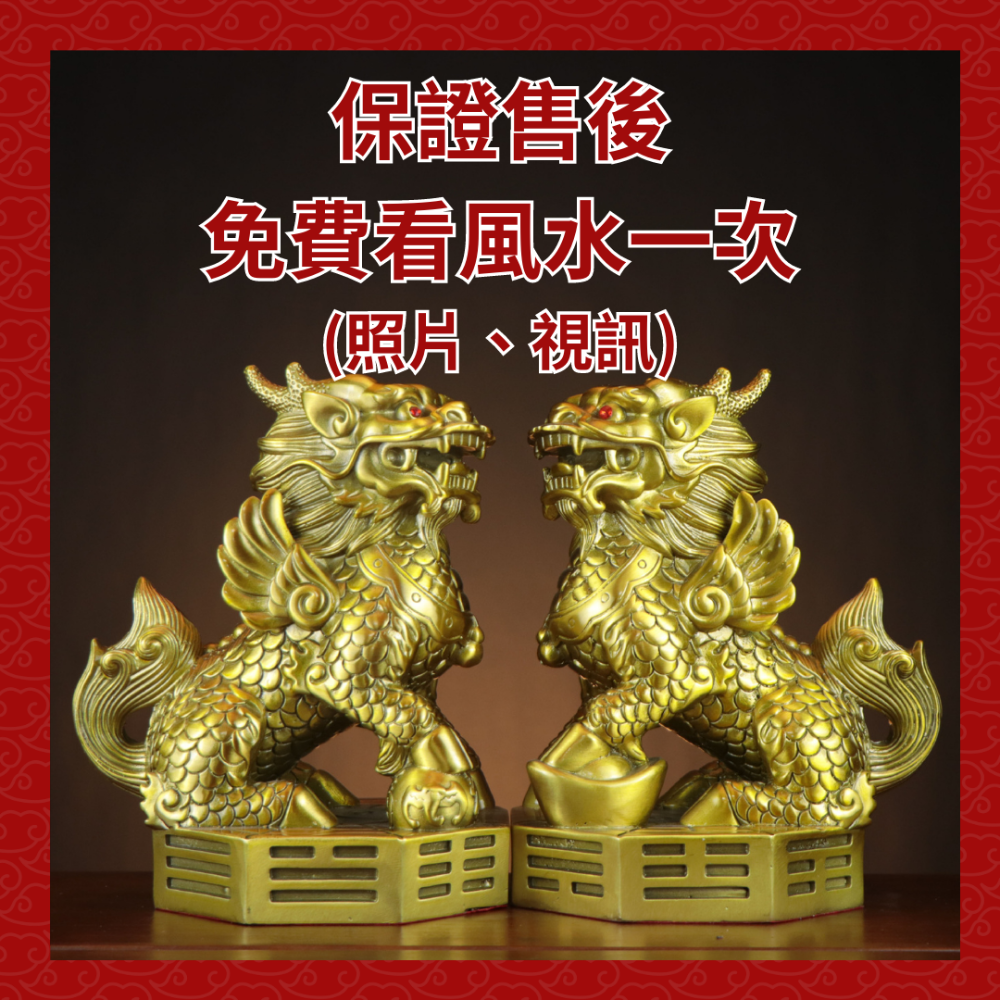 (騰翔風水用品) 財富麒麟擺件 台灣現貨 八卦財福騏麟 純銅八卦麒麟 平安 吉祥 風水用品-細節圖2